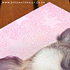 Chihuahua Rachael Hale Dog Glittery Card Lulu & Fred (Close Up)